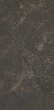 Керамогранит Ariostea P612515 Pulpis Grey Soft Ret 120*60