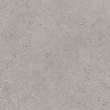 Керамогранит Kerama Marazzi DD640920R Про Лаймстоун серый натуральный обрезной 60х60