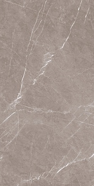 Керамогранит Artcer 1070 Monte Taupe Carv 120x60