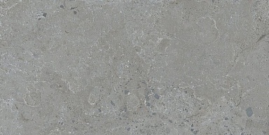 Керамогранит Dune 188999 Pietra Viva Grey 60x120