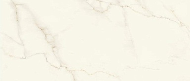 Керамогранит Atlas Concorde Italy AFUX Marvel Calacatta Apuano Silk 120x278