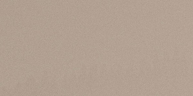 Керамогранит Imola Ceramica PRTU 12AG LV PARADE 60x120