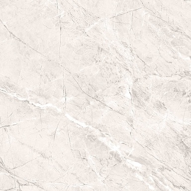 Керамогранит PrimaVera TP66M17 Пантир матовый 60x60