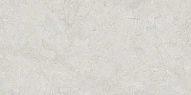 Керамогранит Realistik Infinity Venon Dove Endless Carving 80x160