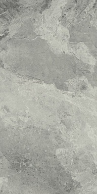 Керамогранит Italon 610010001196 Charme Extra Silver Nat Ret 60x120