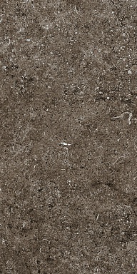 Керамогранит Casa Dolce Casa 768354 Sensi Brown Fossil R+PTV Ret 40x80