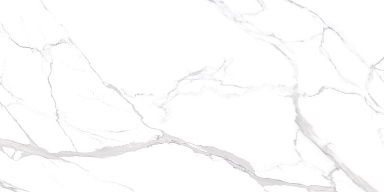 Керамогранит NT Ceramic NTT99512M Statuario Ultra White 60x120