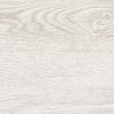 Wild Wood PrimaVera