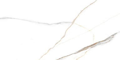 Керамогранит NT Ceramic NTT99513M Maritaca Statuario Ultra White 60x120
