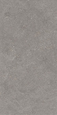 Керамогранит Artcer 1224 Graniti Grey Matt Ghr 120x60