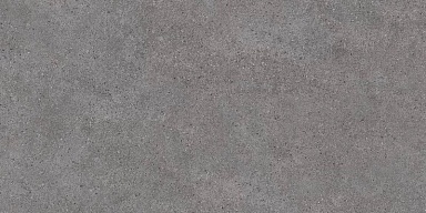 Керамогранит Kerama Marazzi DL501020R Фондамента серый темный обрезной 60х119,5