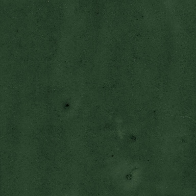 Керамогранит Harmony 43289 Samira Green 10x10
