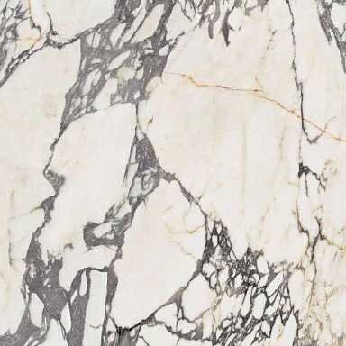 Керамогранит Ariana Ceramica PF60009346 EPOQUE 21 ARABESCATO ANT R 60x60