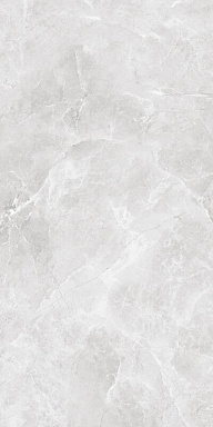 Керамогранит BELLEZA Cr Ambition Silver Carving 60х120