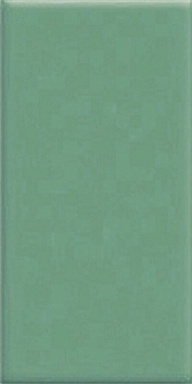 Керамогранит Serapool 80122.7 Light Green 12x24,5