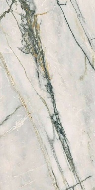 Керамогранит Ariana Ceramica PF60009344 Calacatta Bamboo Lapp. 3d Ret 60x120