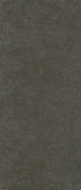 Керамогранит Casa Dolce Casa 785573 Rinascenza Arena Platino Matte 6mm 120x280