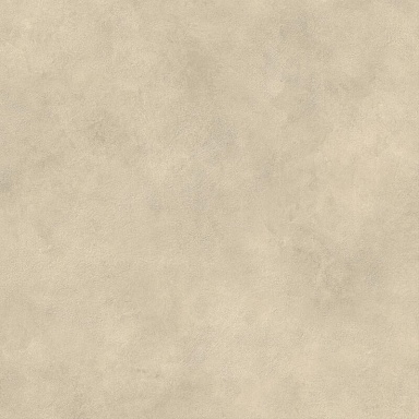 Керамогранит Atlas Concorde Italy AYUA Boost Expression Tan Matte 120x120