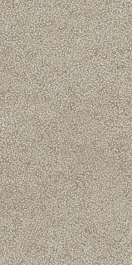 Керамогранит Casa Dolce Casa 768336 Sensi Ivory Lithos Ret 40x80