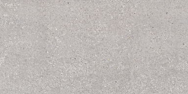 Керамогранит Argenta San Vicente Natural Matt 60x120