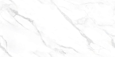 Керамогранит NT Ceramic NTT99506P Statuario Endless 60x120