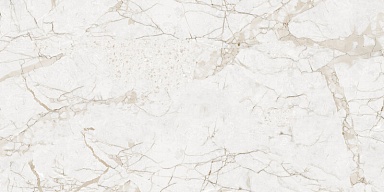 Керамогранит NT Ceramic NTT99519M Impero Grey Carving 60x120