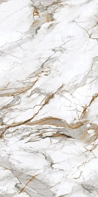 Керамогранит Protiles PT12P7081 Royal Marble Полированная 1200х600х9