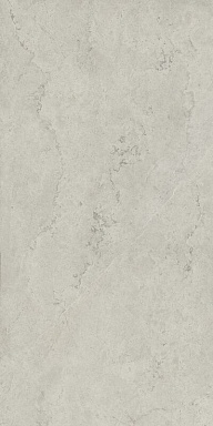 Керамогранит Italon 610010002343 Metropolis Absolut Silver Nat Rett 80x160