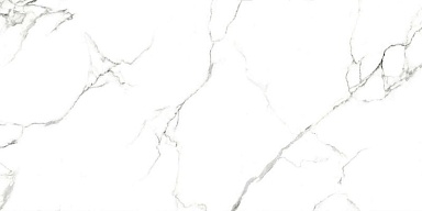 Керамогранит Absolut Gres AB 1124G Statiario Titan gloss 1200x600