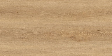 Керамогранит Global Tile GT5010026902MCR Вуди Бежевый 50x100
