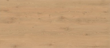 Керамогранит Atlas Concorde Italy AX26 Log Icon Oak Matt 6mm 120x278