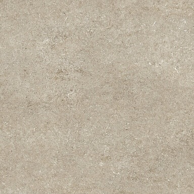 Керамогранит Casa Dolce Casa 768365 Sensi Ivory Fossil R+PTV Ret 80x80