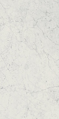 Керамогранит Italon 610010001194 Charme Extra Carrara Nat Ret 60x120