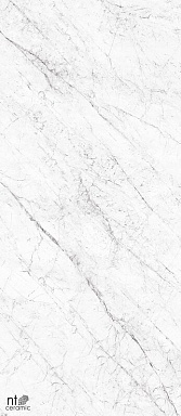Керамогранит NT Ceramic NTT3602C Carrara Elite 120x280