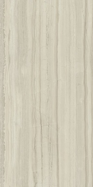 Керамогранит Italon 610015000586 Шарм Эдванс Силк Грэй Пат 60x120