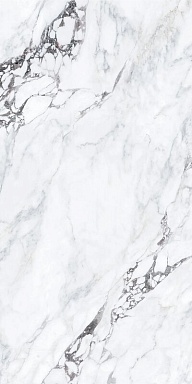 Керамогранит Terramic Tiles TR61217T Celestial Essence Карвинг матовая 60x120
