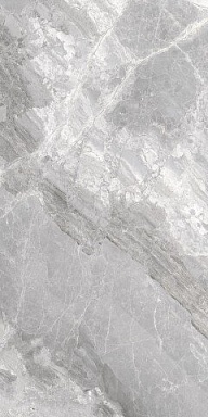 Керамогранит Cerdomus 75382 Supreme Silver Rettificato 60x120
