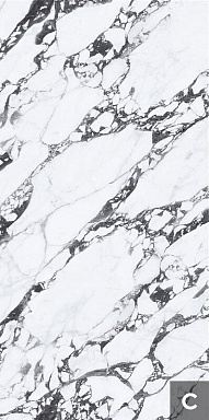 Керамогранит NT Ceramic NTT3013P (C) Tantai Jin Demon 120x240