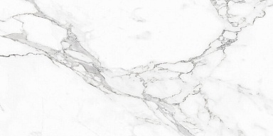 Керамогранит NT Ceramic NTT9125M Statuario Infinity 60x120