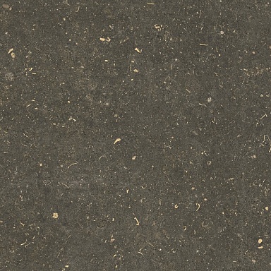 Керамогранит Casa Dolce Casa 785499 Rinascenza Arena Platino Grip 60x60