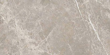 Керамогранит Cerim 766630 Elemental Grey Dolomia Luc Ret 30x60