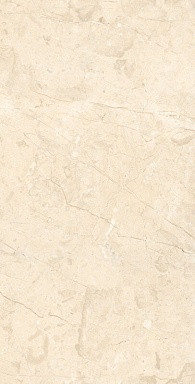Керамогранит Arcadia Ceramica RT7016-A Marcus Cremano Matt Rustic 60x120