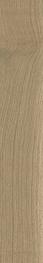 Керамогранит Coliseumgres 610010004068 Bormio Honey Ret 20x120