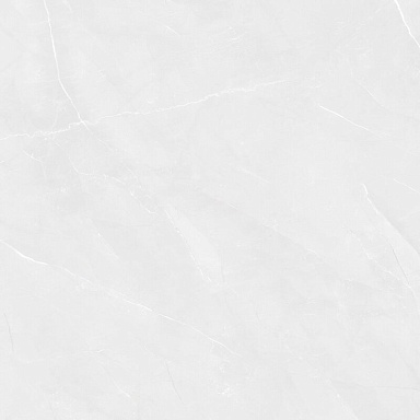 Керамогранит Pardis Ceramic Pazh 166513 Fluorite Polished 60x60
