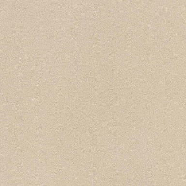 Керамогранит Imola Ceramica PRTU 60A LV PARADE 60x60