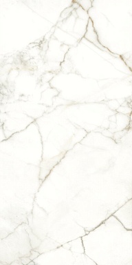 Керамогранит Naxos 117782 Emotion Levigato Rettificato 60x120
