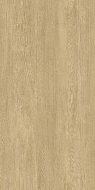 Керамогранит Realistik Альдерис Бежевый матовый 60x120