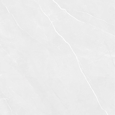 Керамогранит Pardis Ceramic Pazh 166513 Fluorite Polished 60x60