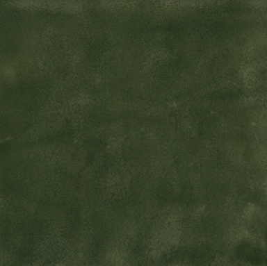 Керамогранит Casa Dolce Casa 785998 SensiColore Bosco Glossy 11,6x11,6