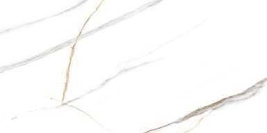Керамогранит NT Ceramic NTT99513M Maritaca Statuario Ultra White 60x120